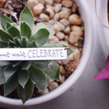 Don't Wait, Celebrate Bar Necklace - High Quality, Affordable, Hand Written, Empowering, Self Love, Mantra Word Necklace - Available in Gold and Silver - Made in USA - Brevity Jewelry