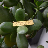 Stoked Bar Necklace - High Quality, Affordable, Hand Written, Empowering, Self Love, Mantra Word Necklace - Available in Gold and Silver - Made in USA - Brevity Jewelry