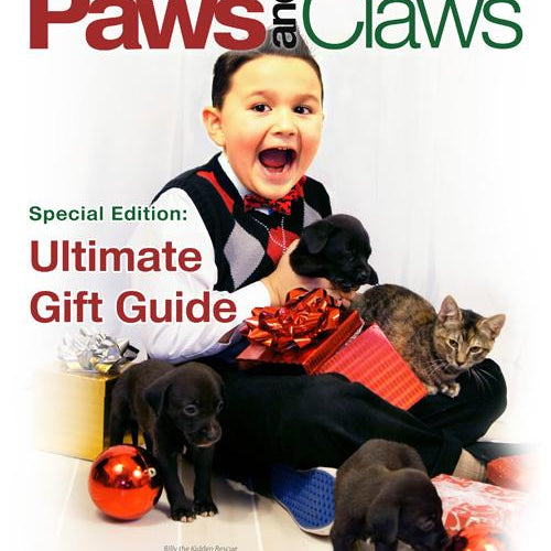 Paws and Claws - Brevity Jewelry - Made in USA - Affordable gold and silver necklaces