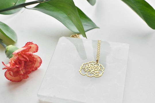January Birth Flower - Carnation