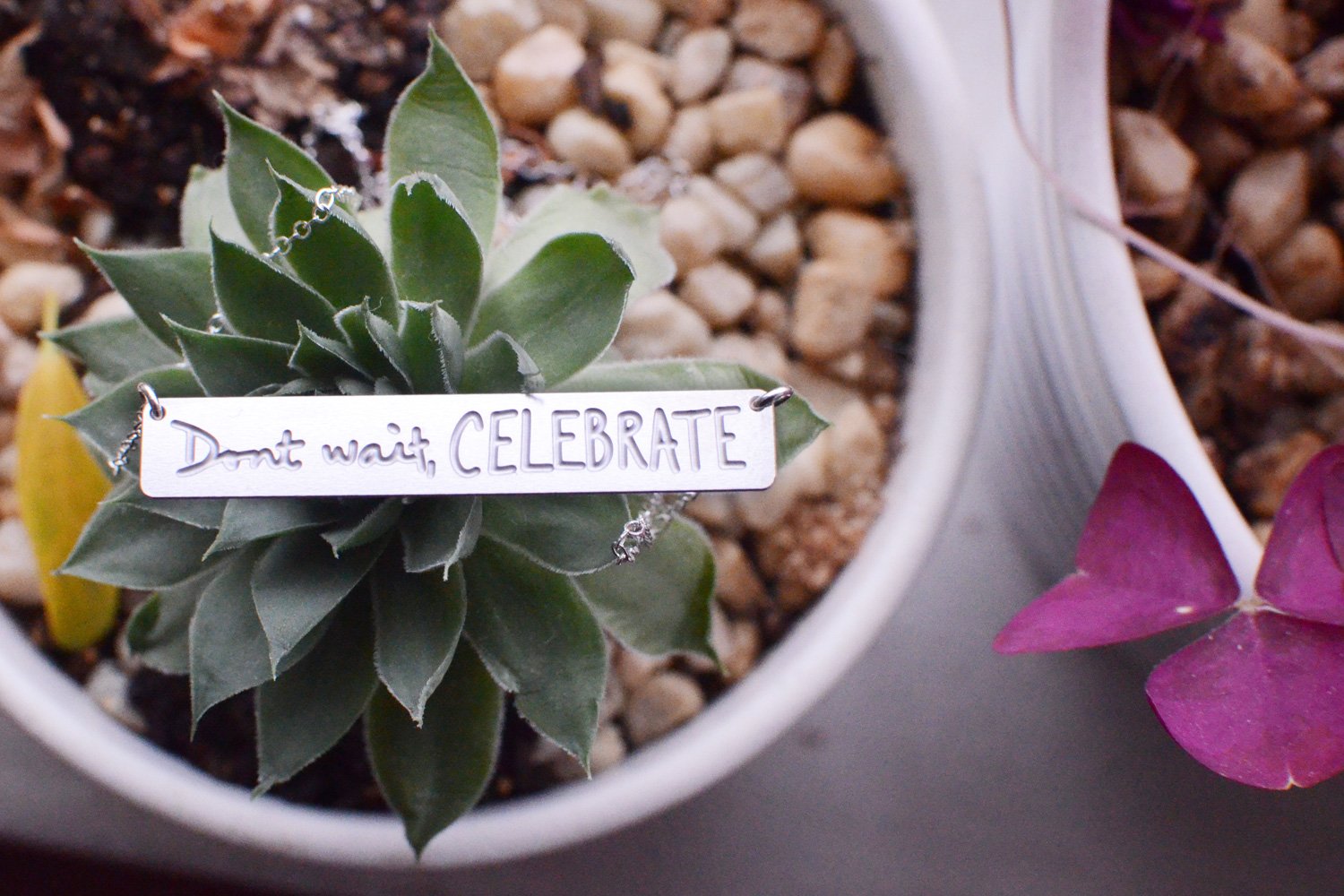 Don't Wait, Celebrate Bar Necklace - High Quality, Affordable, Hand Written, Empowering, Self Love, Mantra Word Necklace - Available in Gold and Silver - Made in USA - Brevity Jewelry