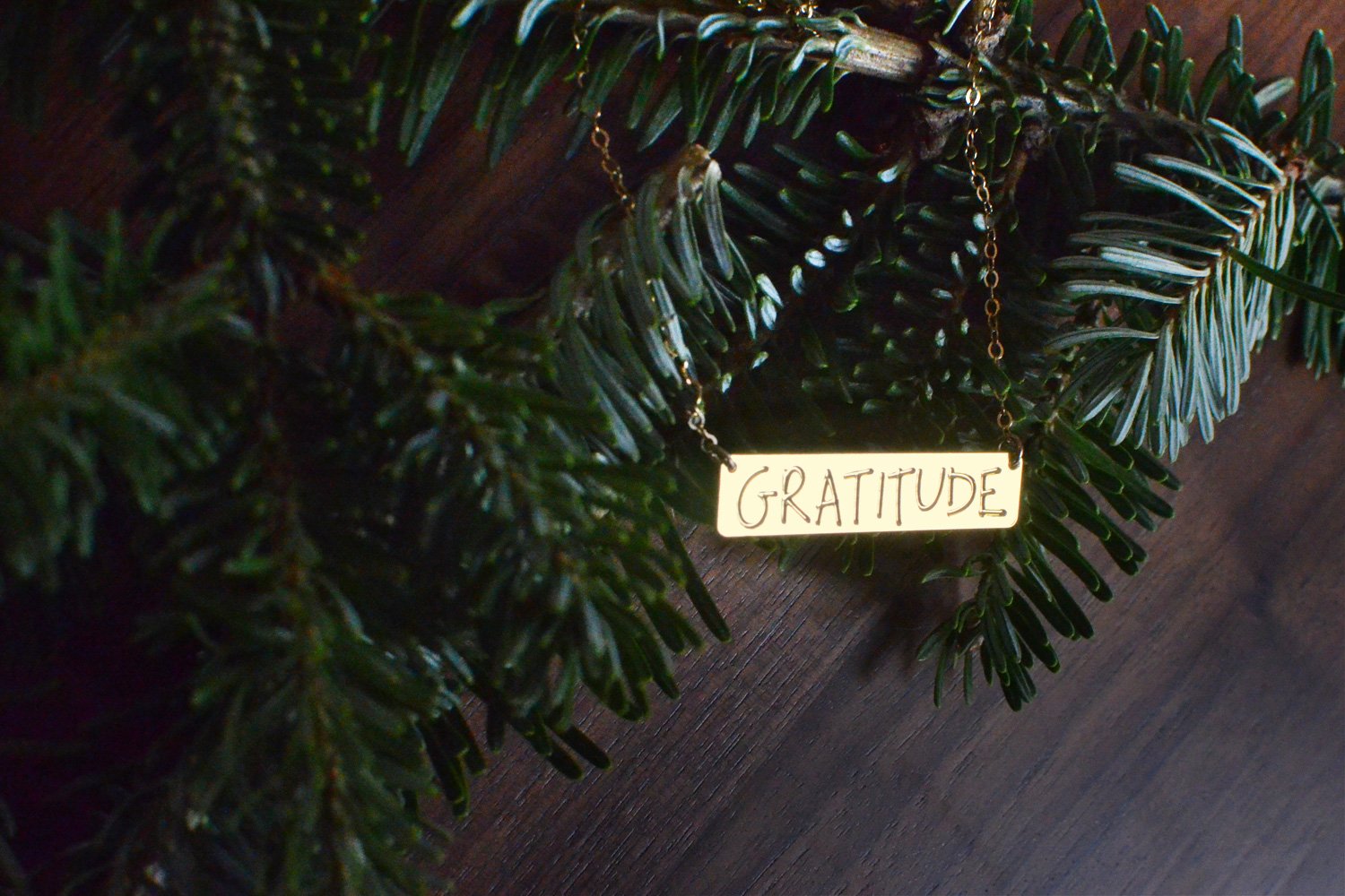 Gratitude  - Brevity Jewelry - Made in USA - Affordable gold and silver necklaces